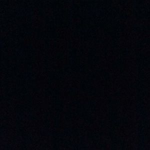 Meet your Posher, Lily